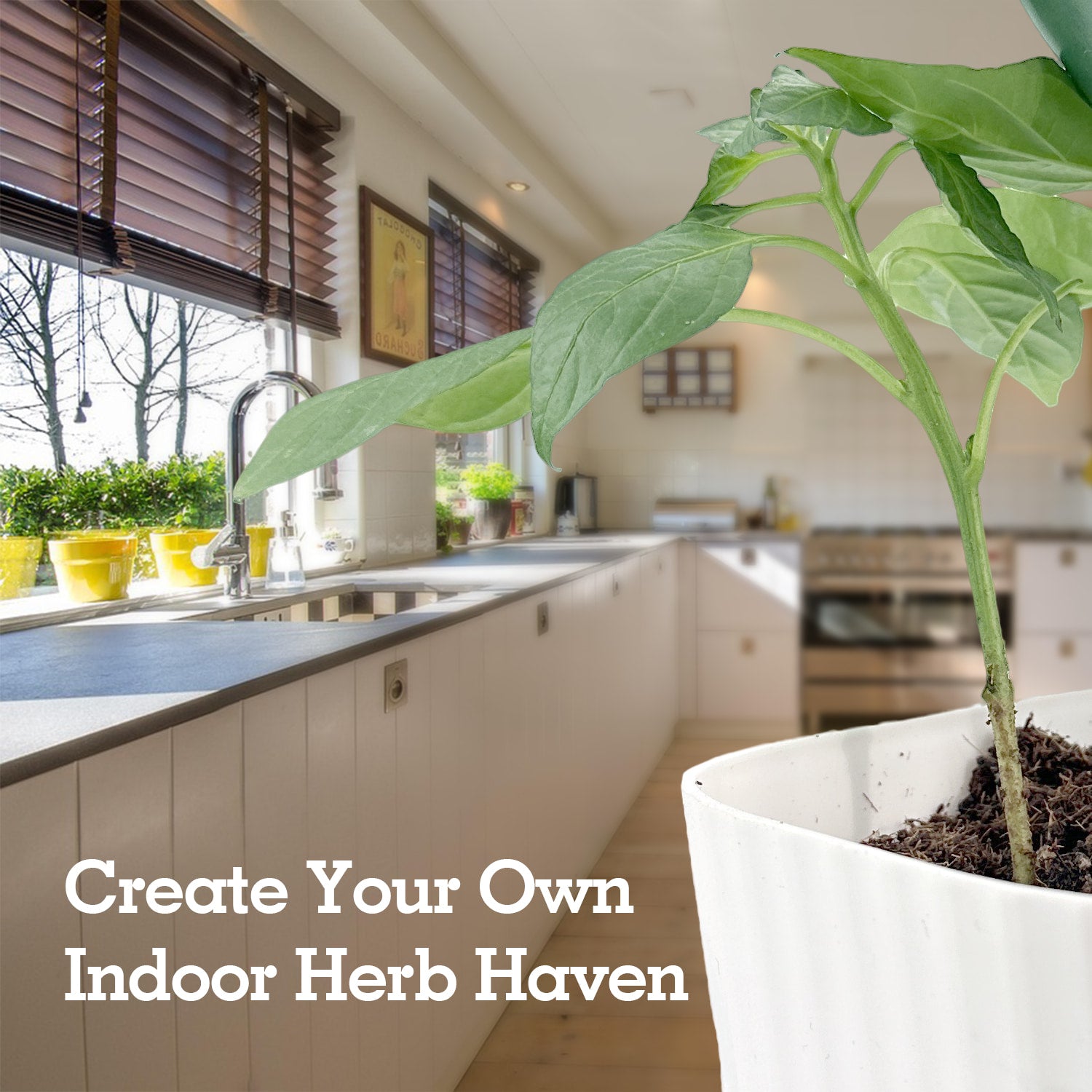 Soliseed Indoor Herb Garden Kit, Window HerbPots, Gardening Tools for Beginners, Kitchen Windowsill Planter, DIY Grow Gift for Home Outdoor Plants- Herb Pots with Drainage Holes