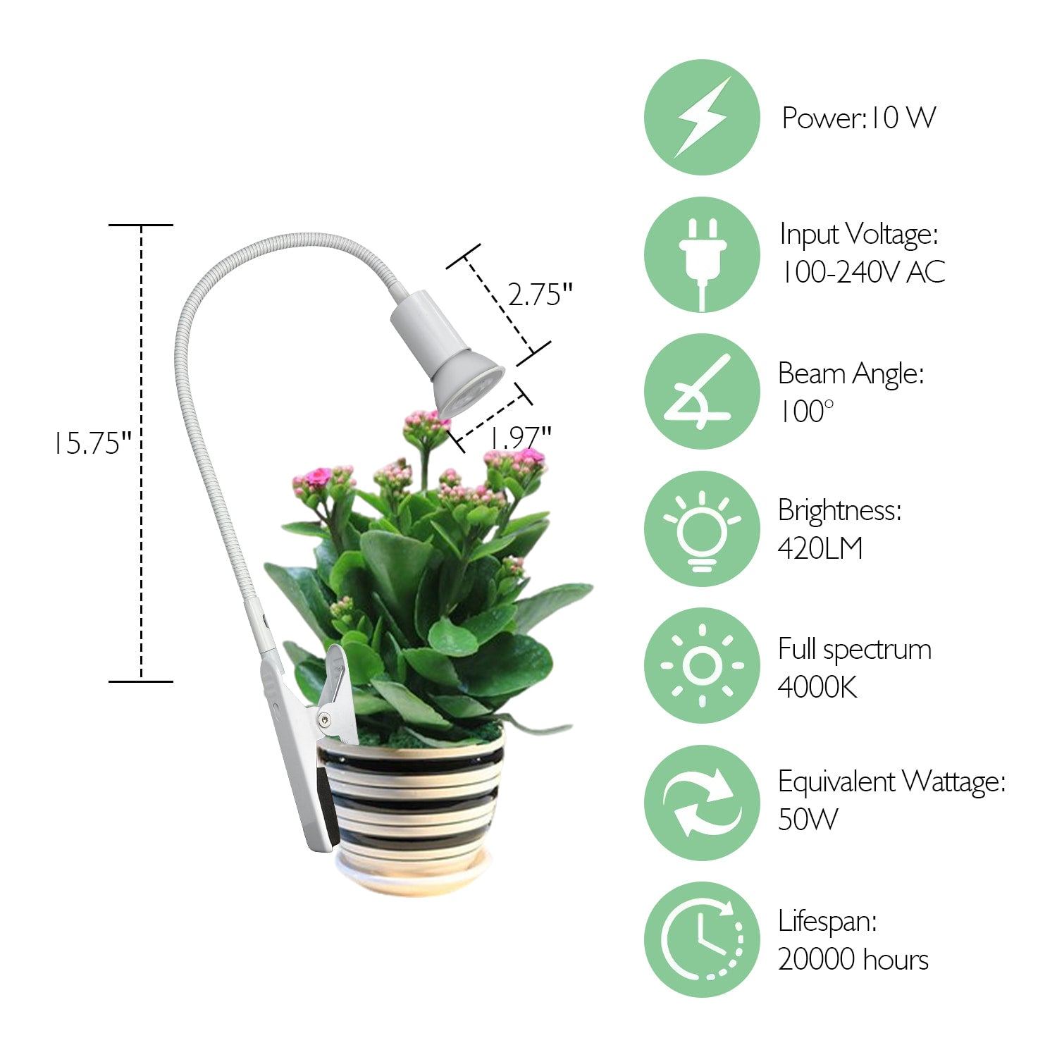 Soliseed LED Grow Light 10W Full Spectrum 4000K, Clip on Plant Light, Spotlight with Timer, 10 Dimming Levels, Indoor Plants Growing Lamp with Gooseneck, 2pack