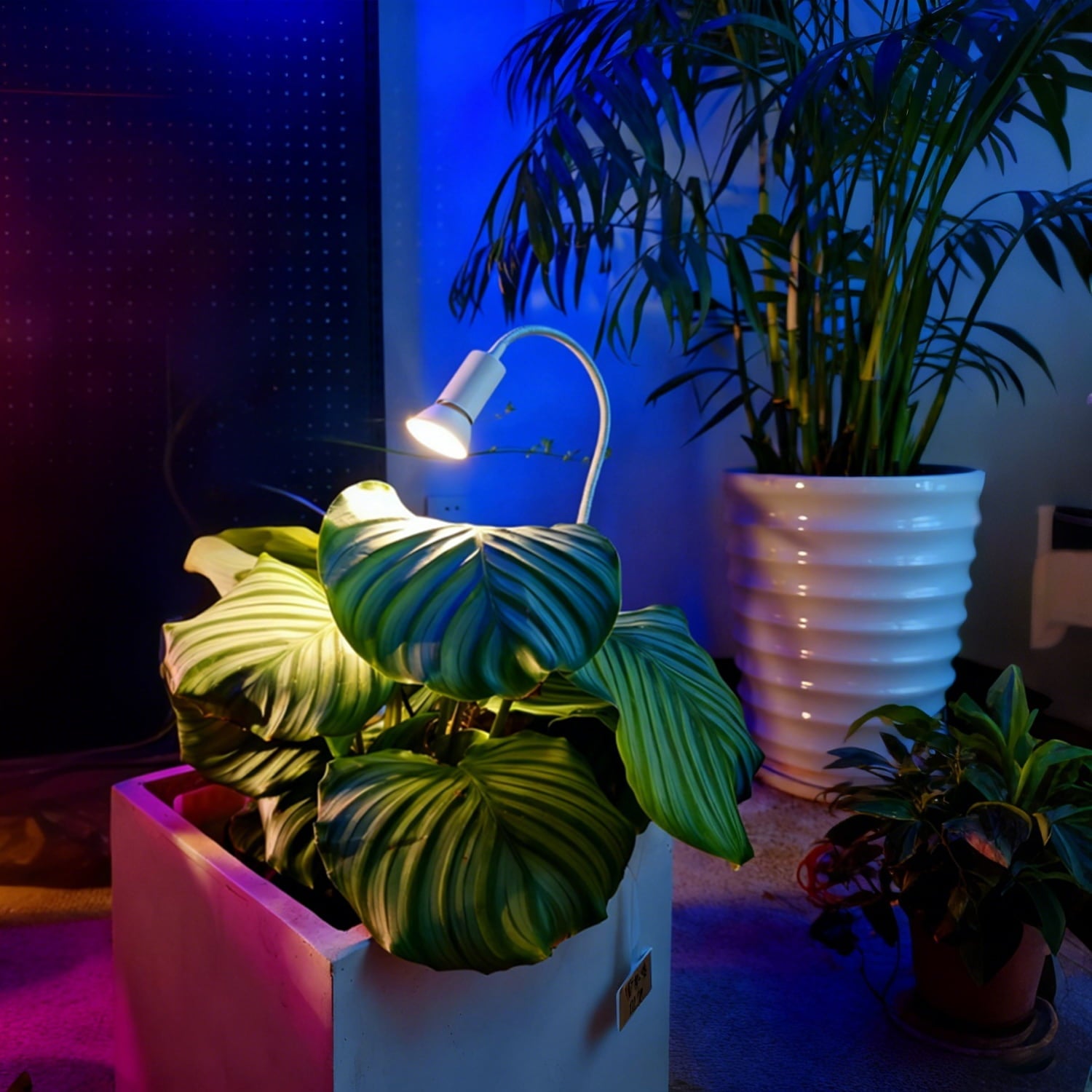 Soliseed LED Clip on Grow Light 6W 4000K Small Plant Light with Timer, Sun Lights, Desk and Inside dimming Spotlight with Flexible Gooseneck Mini Plant Lights, 2pack