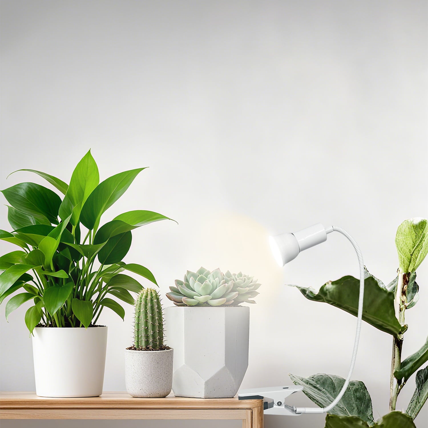 Soliseed LED Grow Light 10W Full Spectrum 4000K, Clip on Plant Light, Spotlight with Timer, 10 Dimming Levels, Indoor Plants Growing Lamp with Gooseneck, 2pack