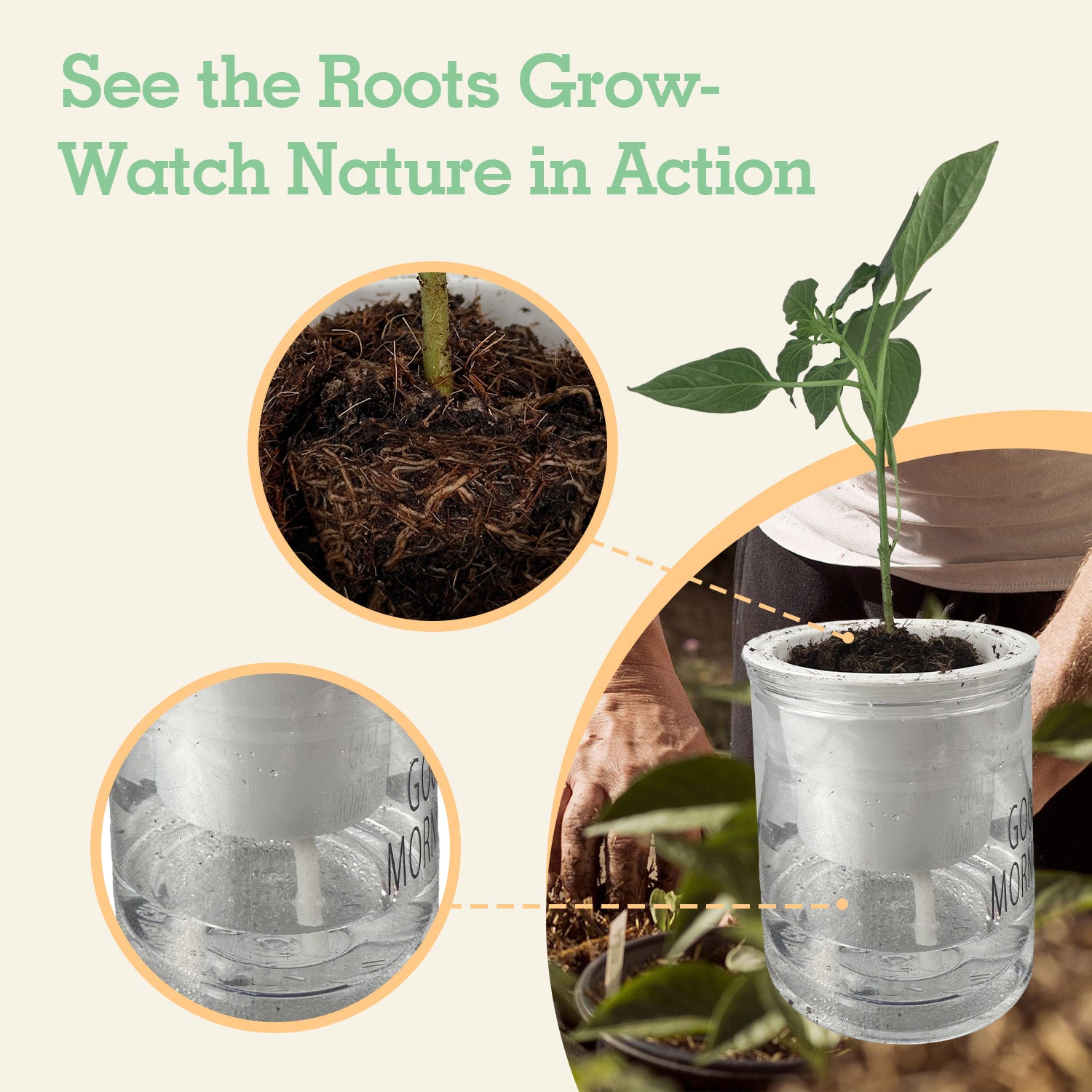 Soliseed Indoor Herb Garden Kit, Window HerbPots, Gardening Tools for Beginners, Kitchen Windowsill Planter, DIY Grow Gift for Home Outdoor Plants- Herb Pots with Drainage Holes