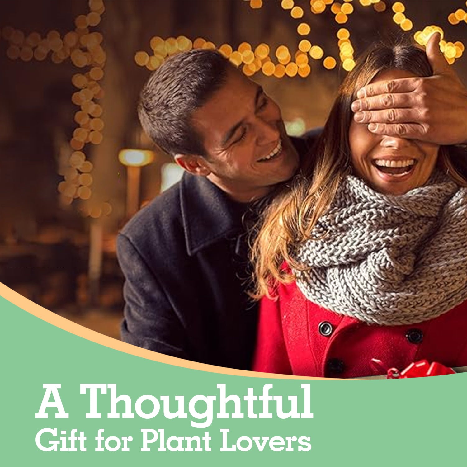 Soliseed Indoor Herb Garden Kit, Window HerbPots, Gardening Tools for Beginners, Kitchen Windowsill Planter, DIY Grow Gift for Home Outdoor Plants- Herb Pots with Drainage Holes