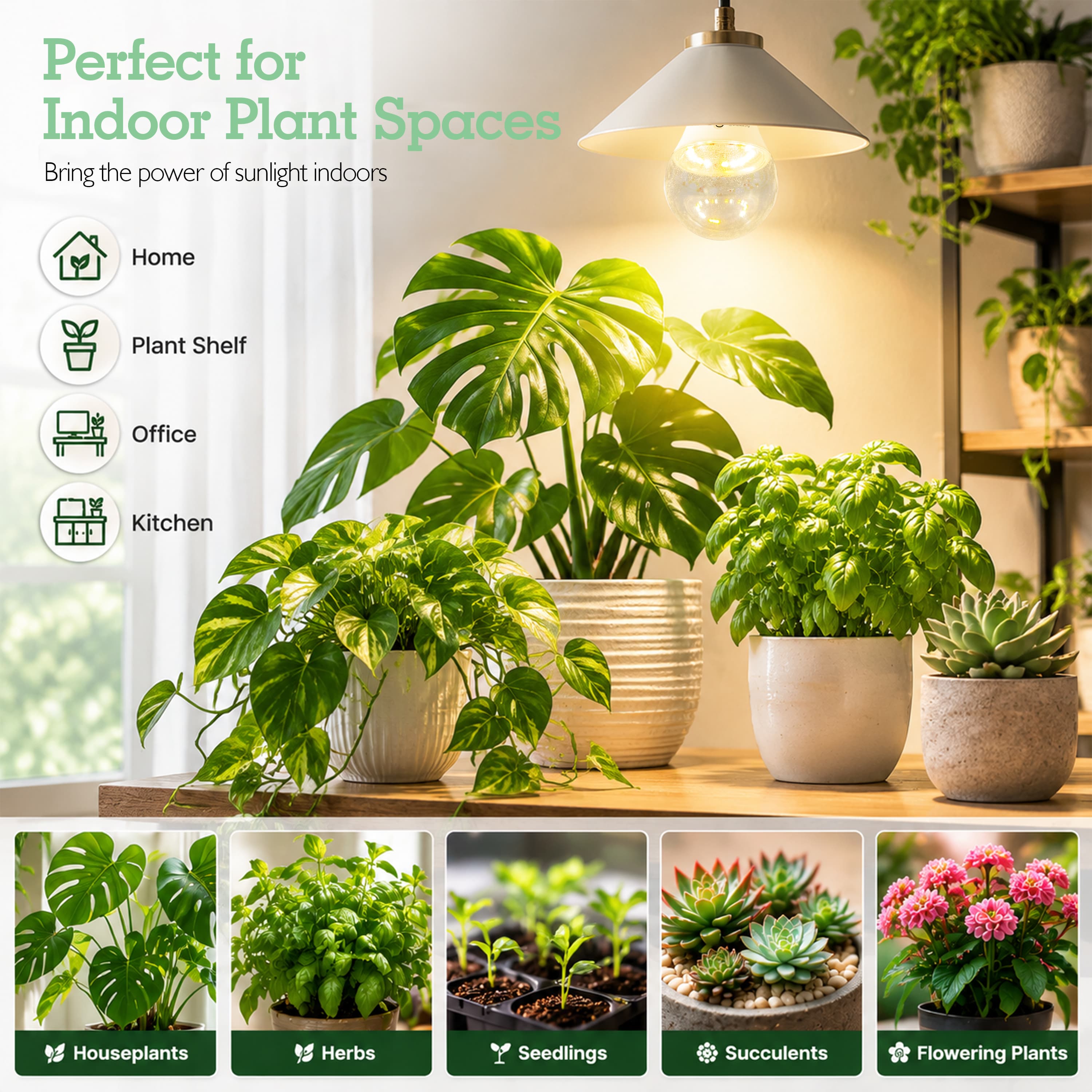 Soliseed 3-Mode Switchable-Spectrum E26 Grow Light Bulb - 3 Pack - product detail 6
