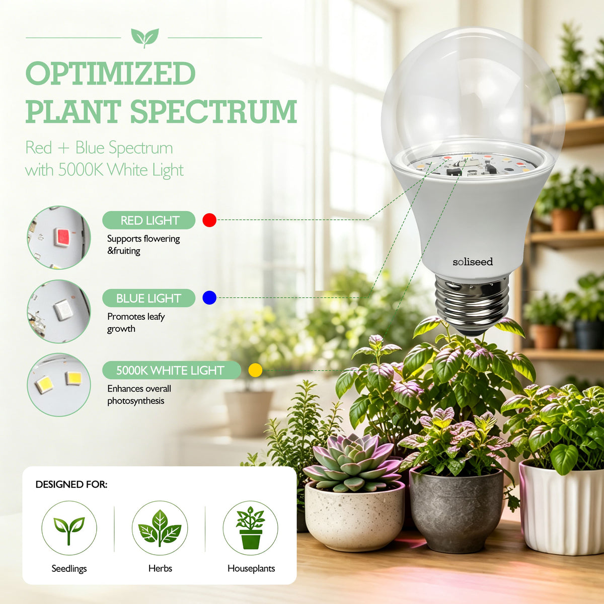Soliseed 10W Red-Blue E26 Grow Light Bulb - 3 Pack - product detail 2