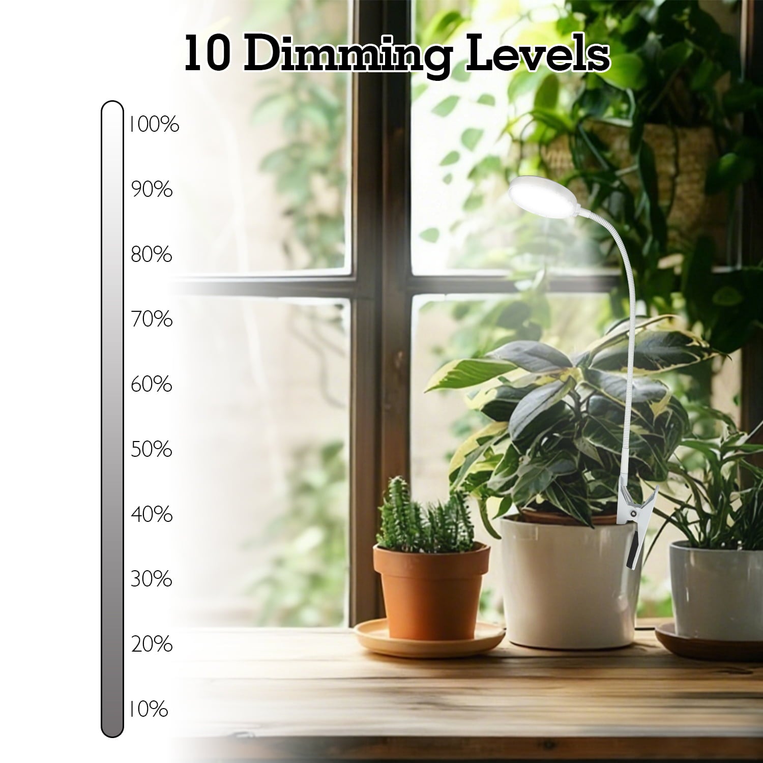 Soliseed LED Clip-on Grow Light Full Spectrum 6W 10-Level Dimming & Timer & USB, Small Grow Lights for Indoor Succulents Cactus Plants, Sunlight lamp, Round Panel 2Pack