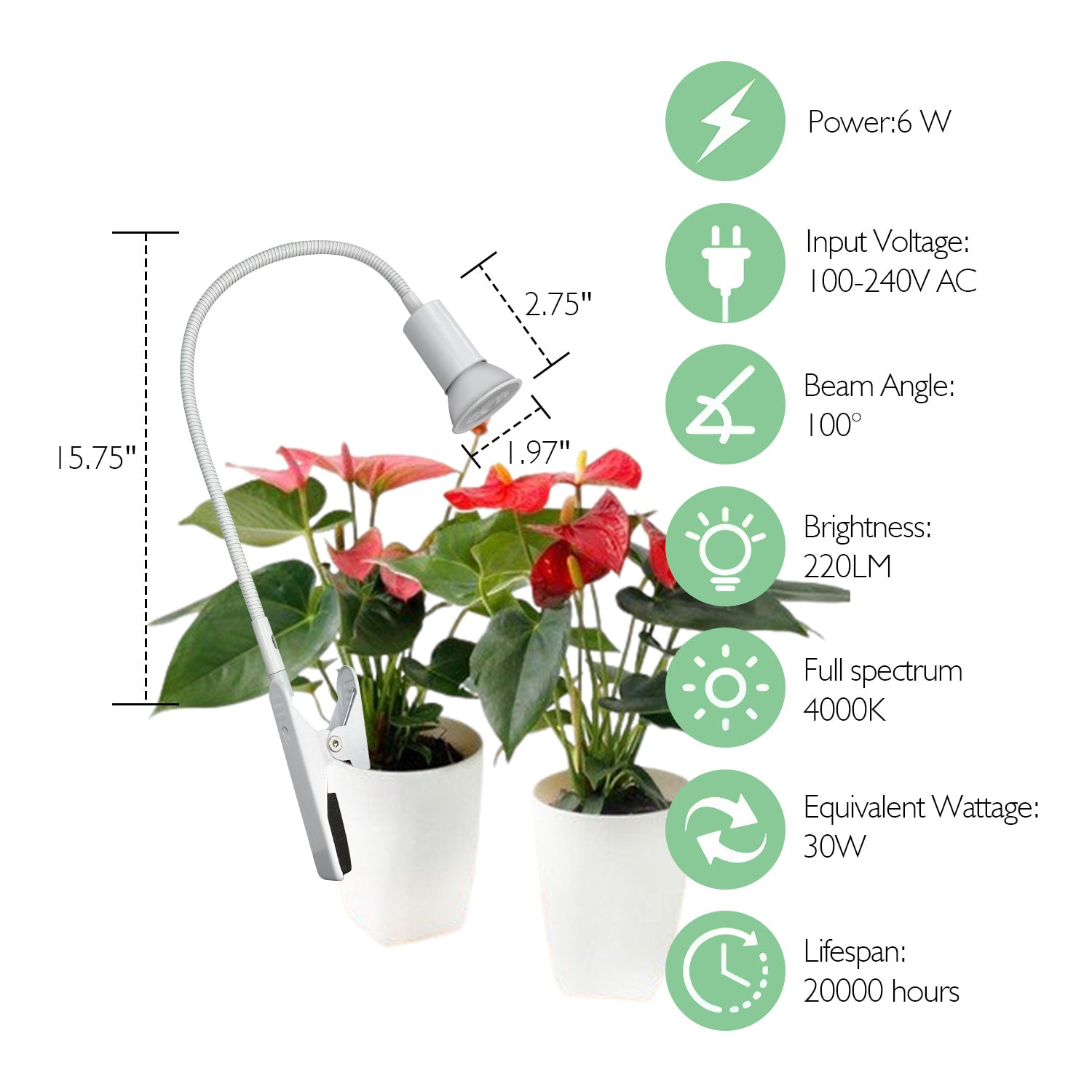 Soliseed LED Clip on Grow Light 6W 4000K Small Plant Light with Timer, Sun Lights, Desk and Inside dimming Spotlight with Flexible Gooseneck Mini Plant Lights, 2pack
