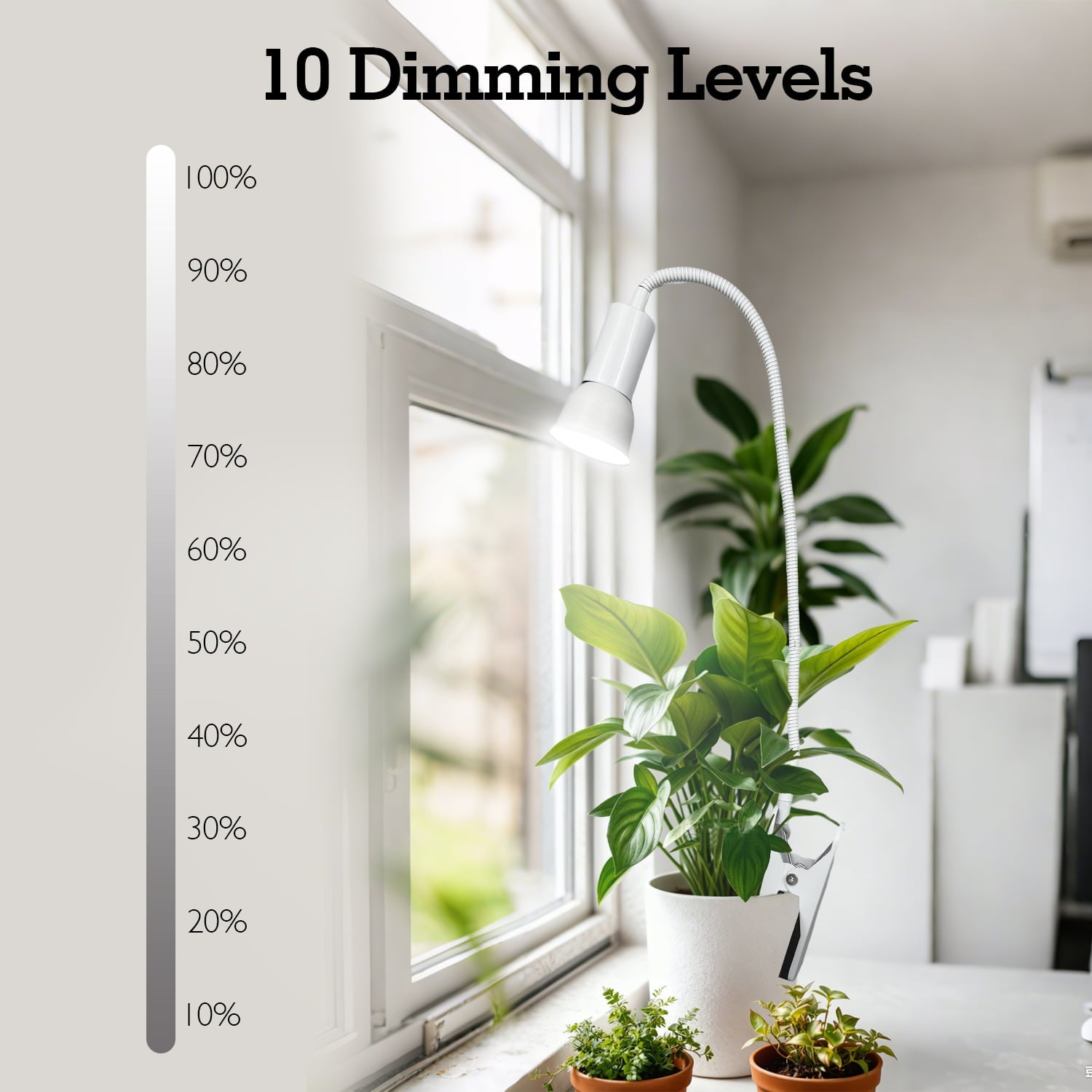 Soliseed LED Grow Light 10W Full Spectrum 4000K, Clip on Plant Light, Spotlight with Timer, 10 Dimming Levels, Indoor Plants Growing Lamp with Gooseneck, 2pack