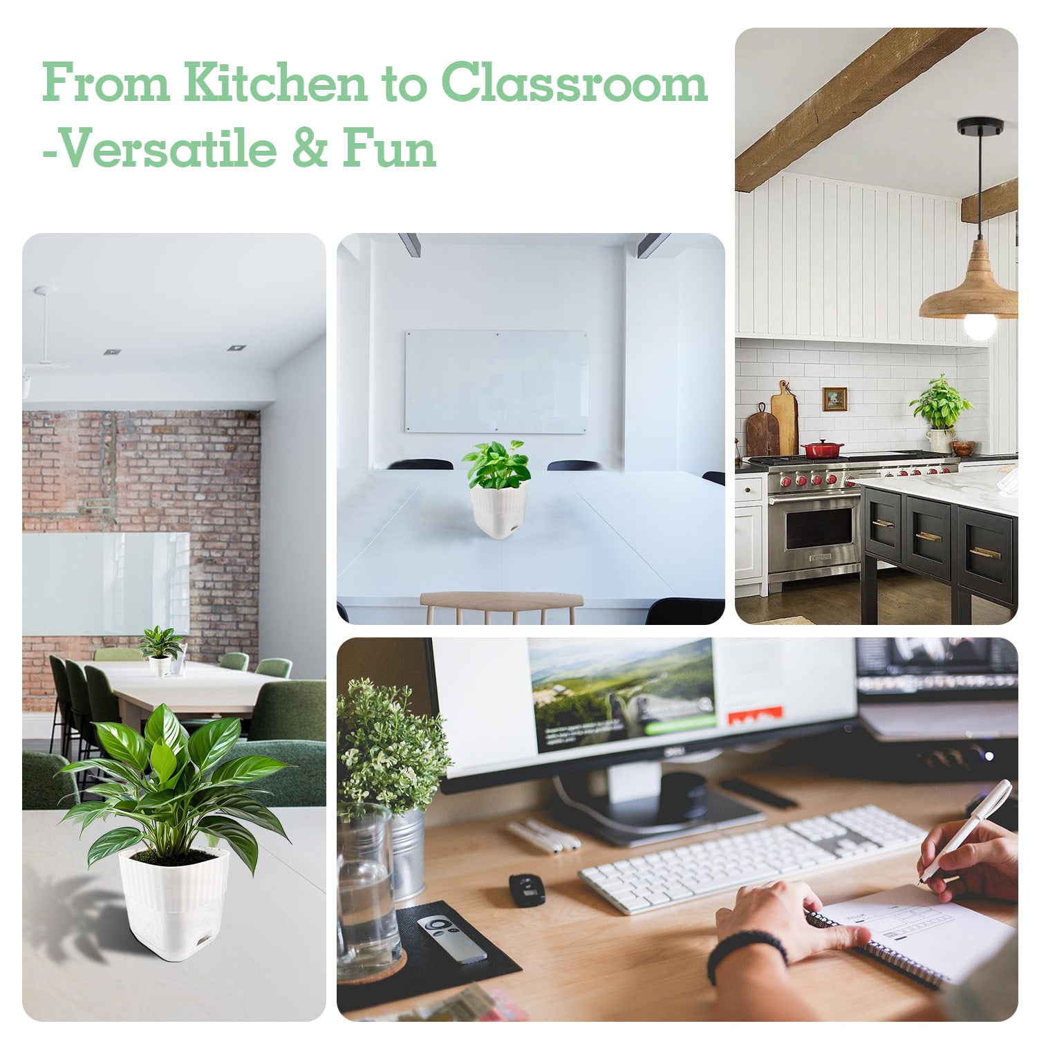 Soliseed Indoor Herb Garden Kit, Window HerbPots, Gardening Tools for Beginners, Kitchen Windowsill Planter, DIY Grow Gift for Home Outdoor Plants- Herb Pots with Drainage Holes