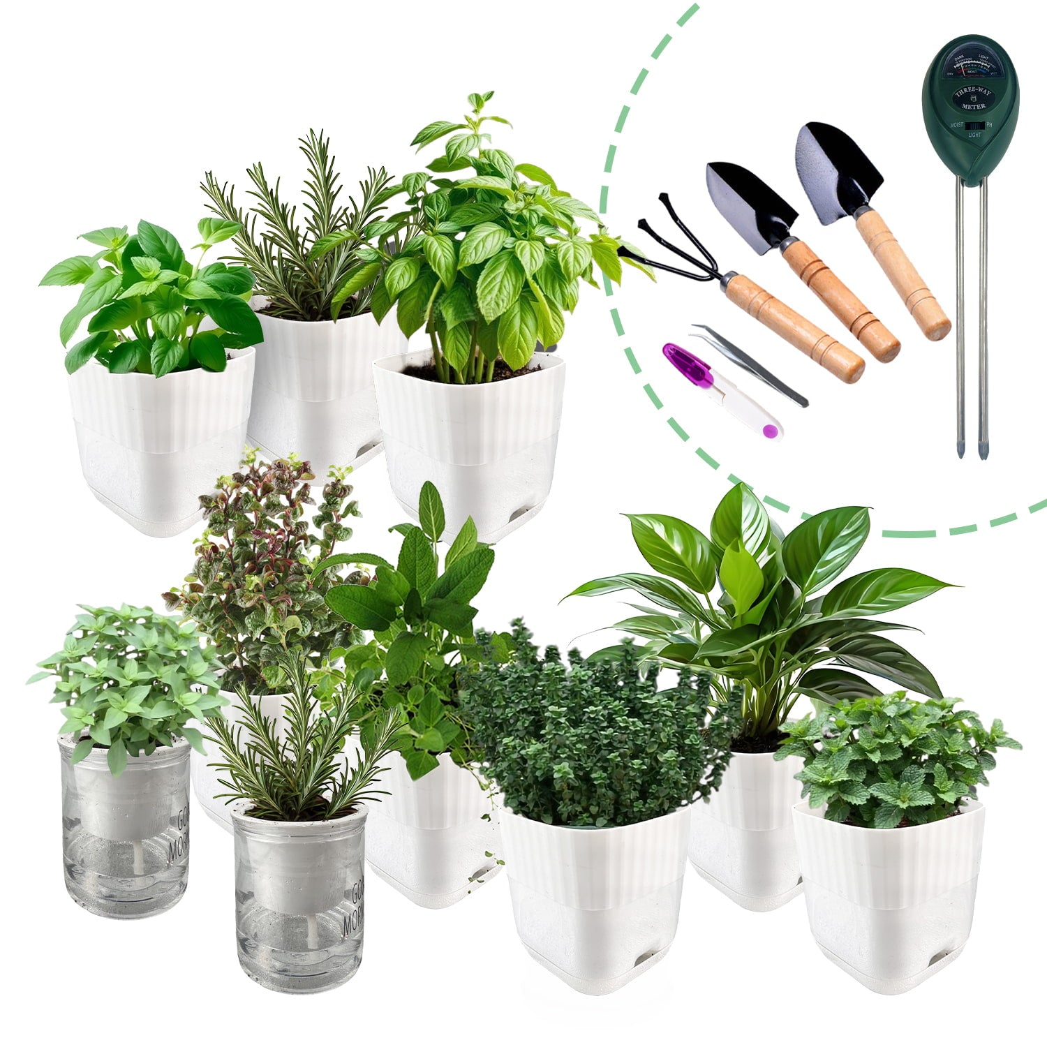 Soliseed Indoor Herb Garden Kit, Window HerbPots, Gardening Tools for Beginners, Kitchen Windowsill Planter, DIY Grow Gift for Home Outdoor Plants- Herb Pots with Drainage Holes