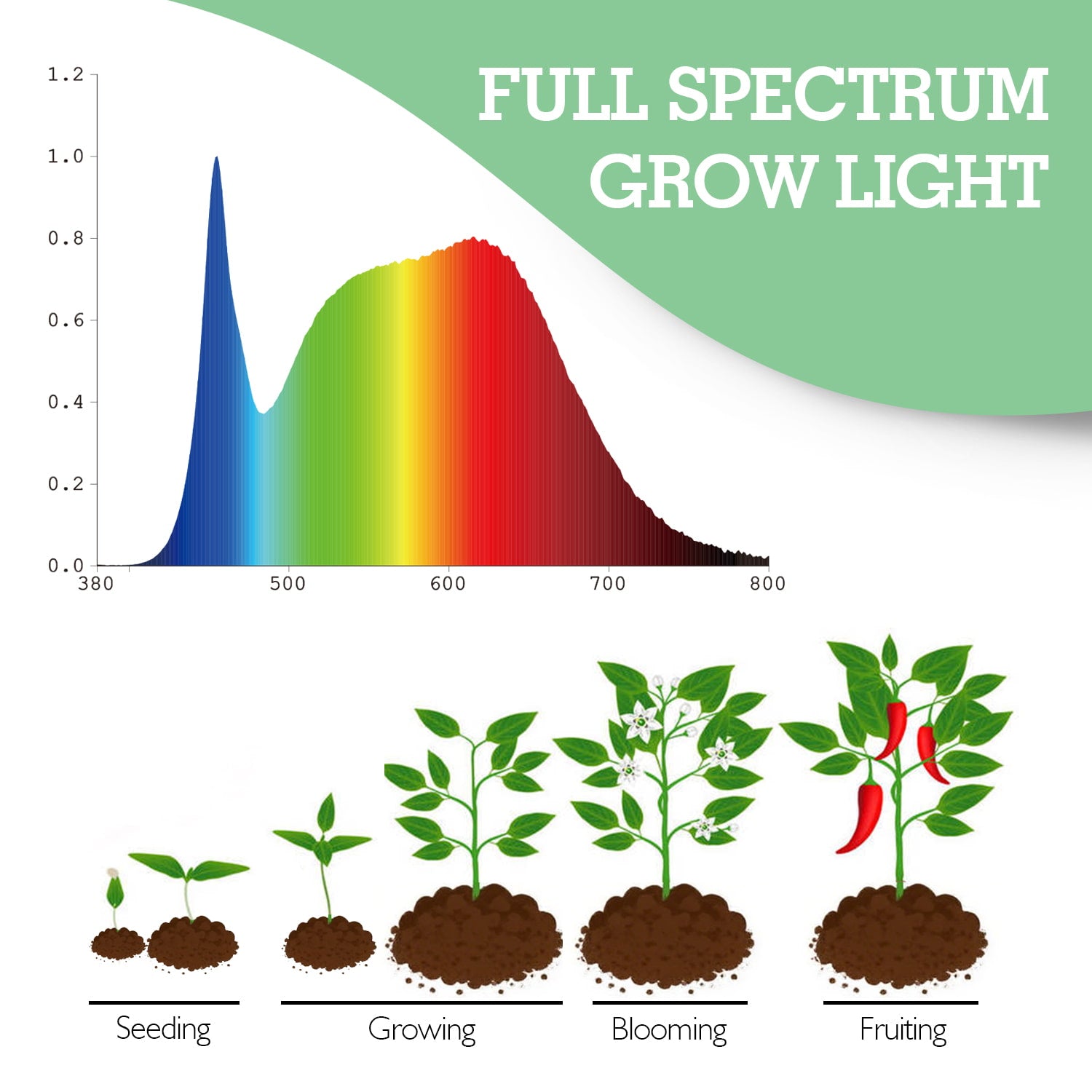 Soliseed LED Clip on Grow Light 6W 4000K Small Plant Light with Timer, Sun Lights, Desk and Inside dimming Spotlight with Flexible Gooseneck Mini Plant Lights, 2pack