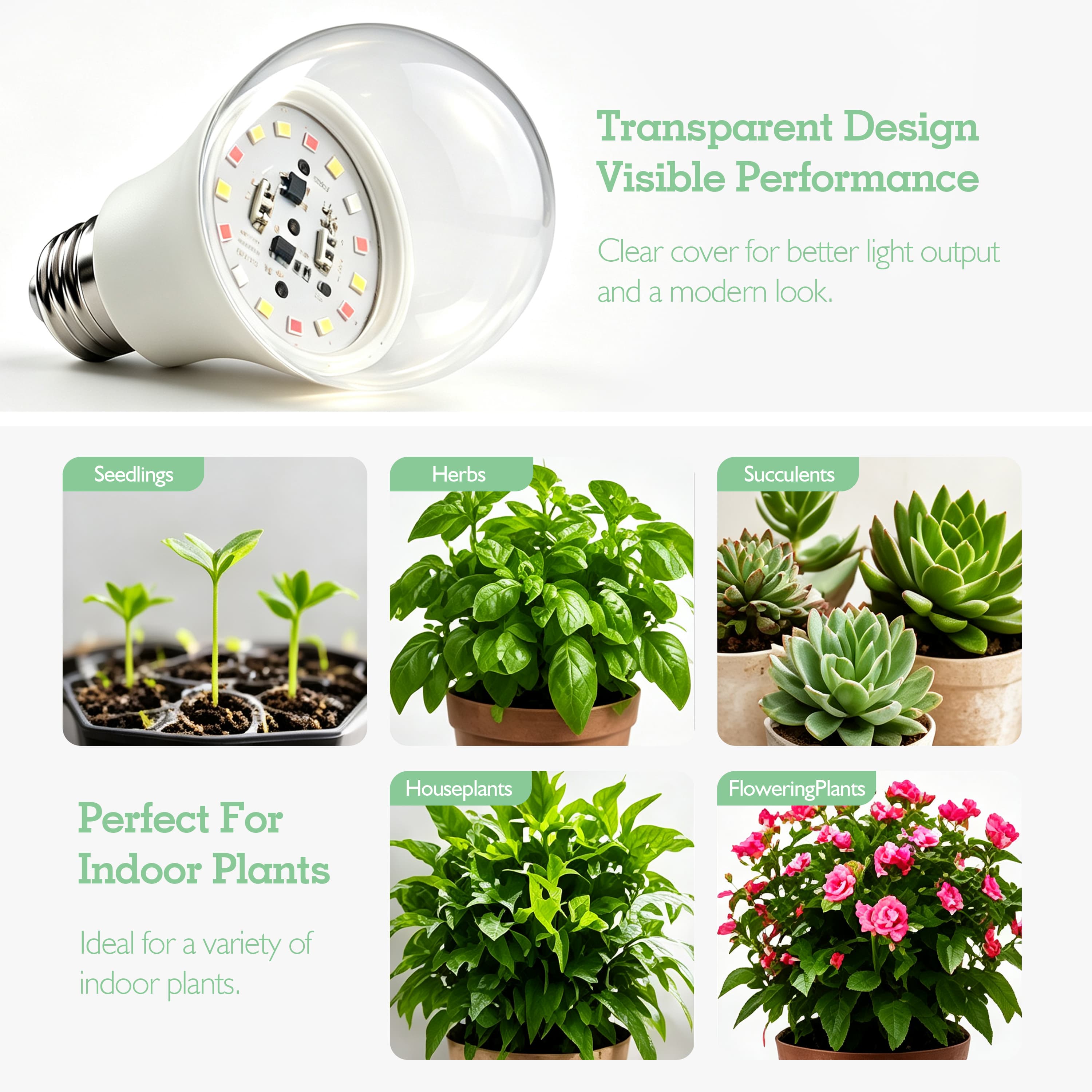 Soliseed 10W Red-Blue E26 Grow Light Bulb - 3 Pack - product detail 4