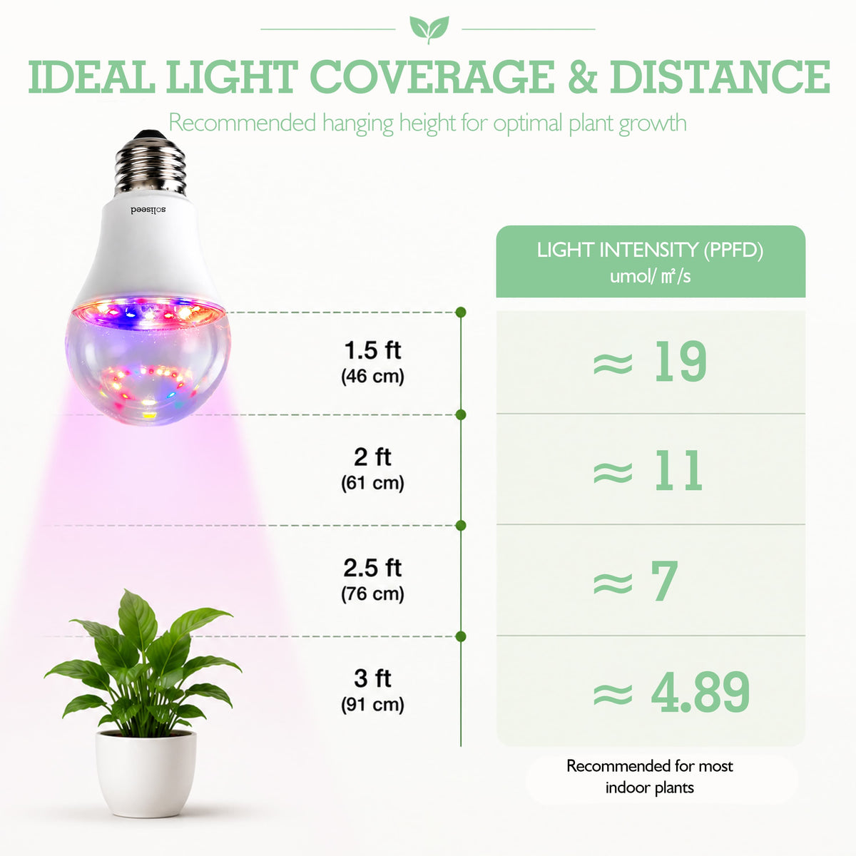 Soliseed 10W Red-Blue E26 Grow Light Bulb - 3 Pack - product detail 7