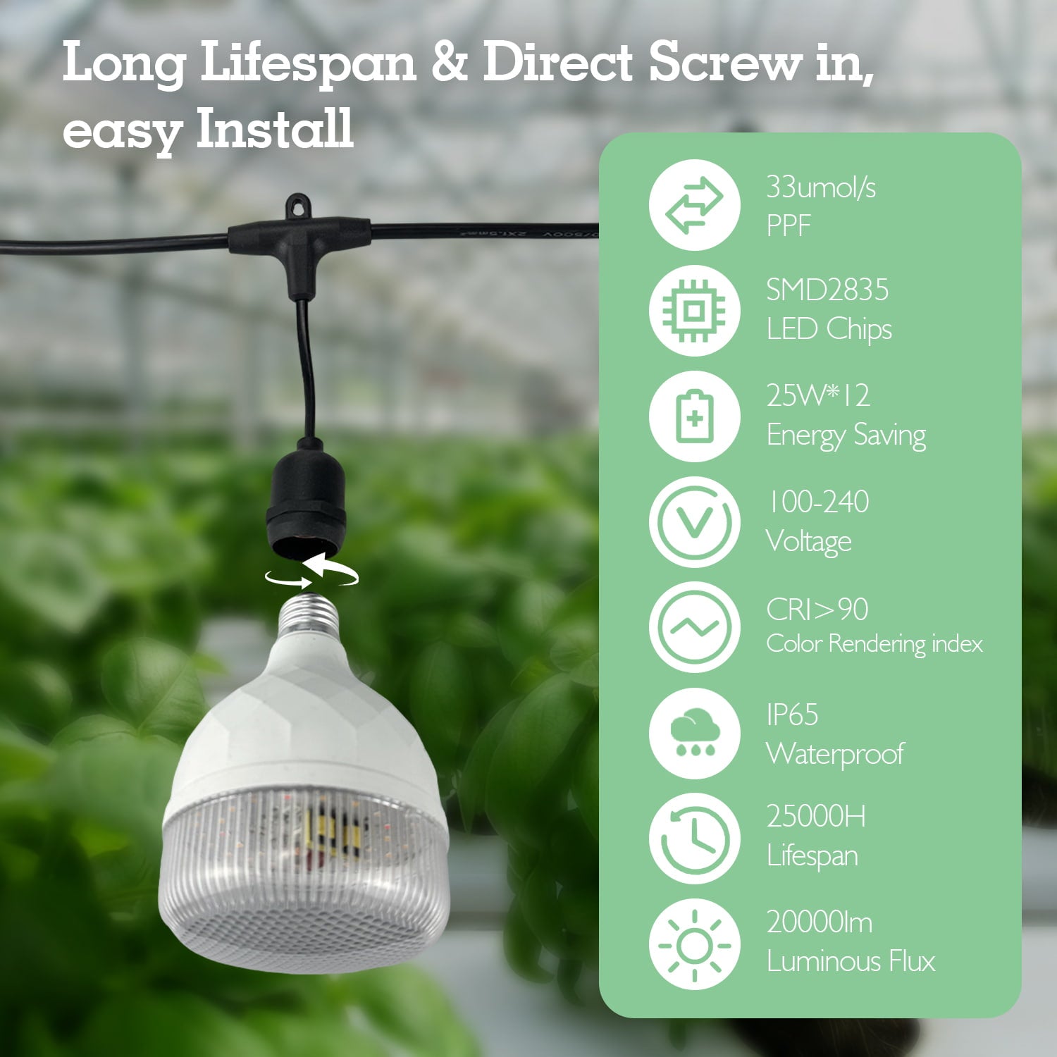 Soliseed Outdoor LED Grow Lights for Greenhouses, Adjustable Height & Position, 12-Lights Full Spectrum Grow Light Bulbs, Outdoor Waterproof Greenhouse Accessories, 33FT String Grow Lights