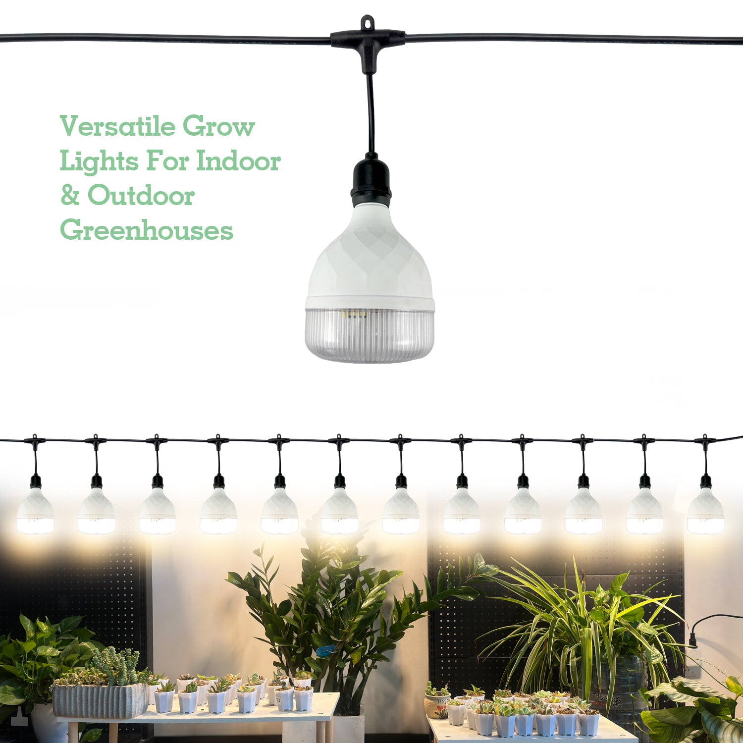 Soliseed Outdoor LED Grow Lights for Greenhouses, Adjustable Height & Position, 12-Lights Full Spectrum Grow Light Bulbs, Outdoor Waterproof Greenhouse Accessories, 33FT String Grow Lights