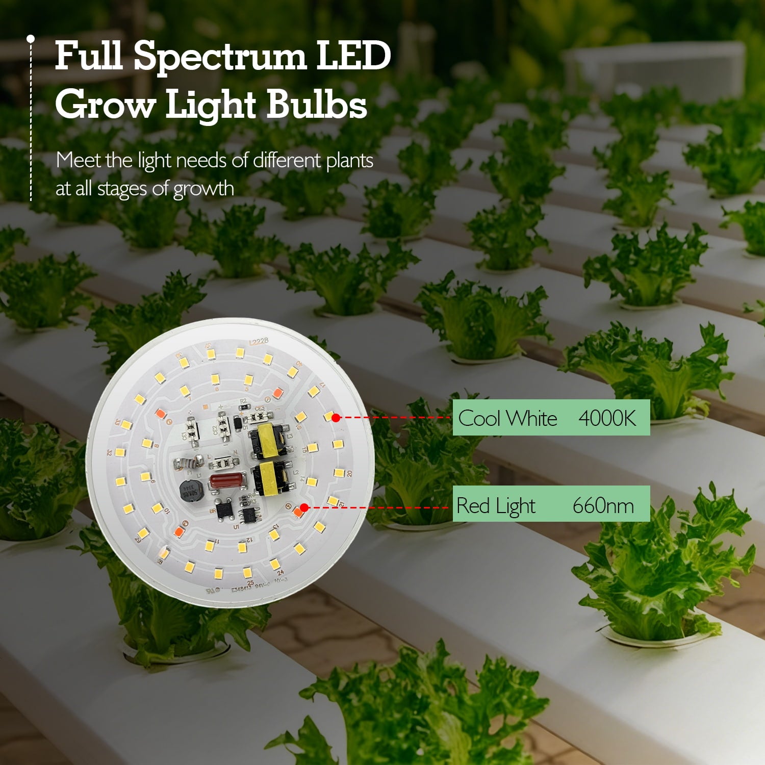 Soliseed Outdoor LED Grow Lights for Greenhouses, Adjustable Height & Position, 6 Lights of Full Spectrum Grow String Bulbs, Waterproof Greenhouse String Growing Accessories, Suitable for 16.5FT