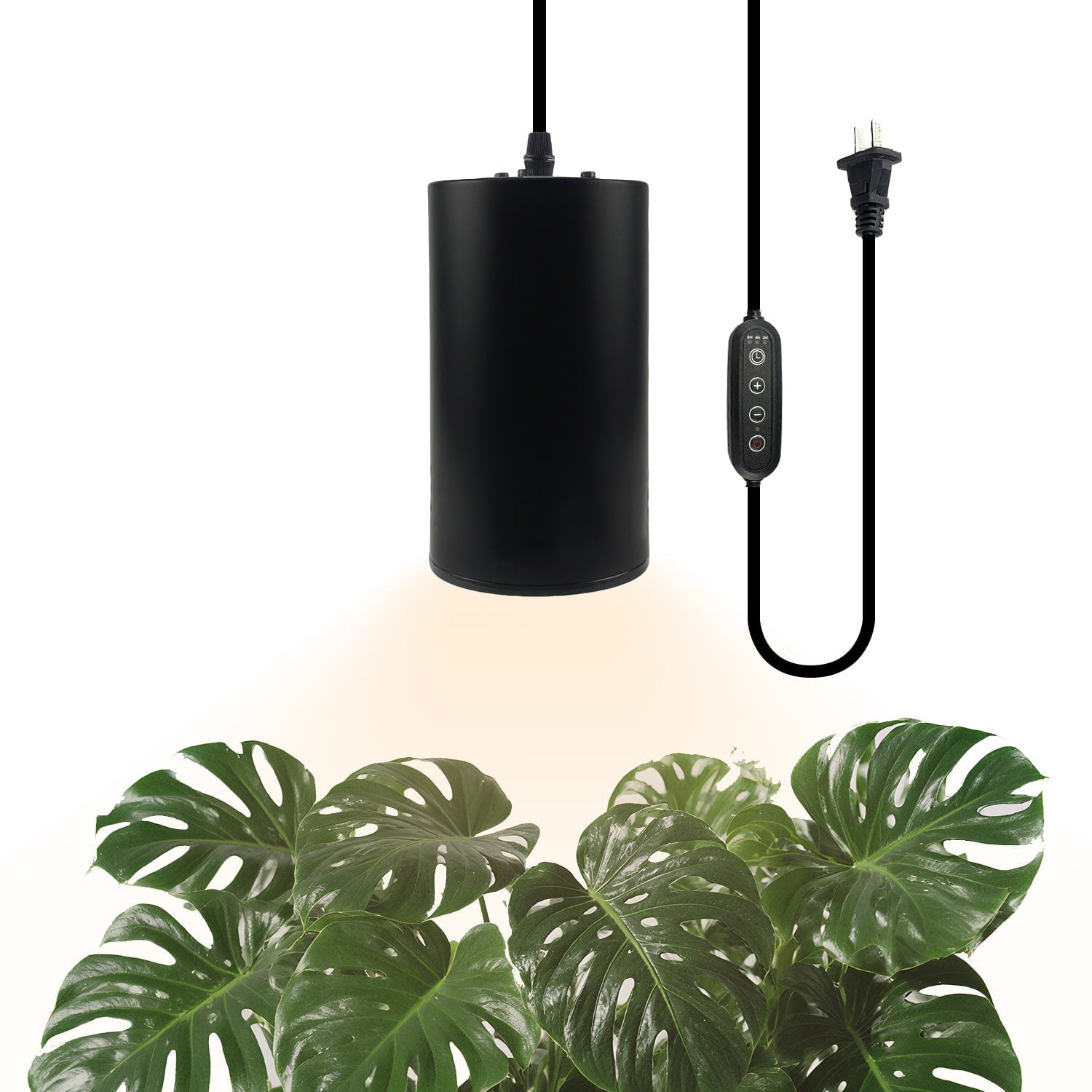 Soliseed 24W Hanging Grow Light for Indoor Plants – Full Spectrum 4000K Plug in Pendant Light with Timer, Adjustable Cord & High CRI for Stylish Indoor Gardening