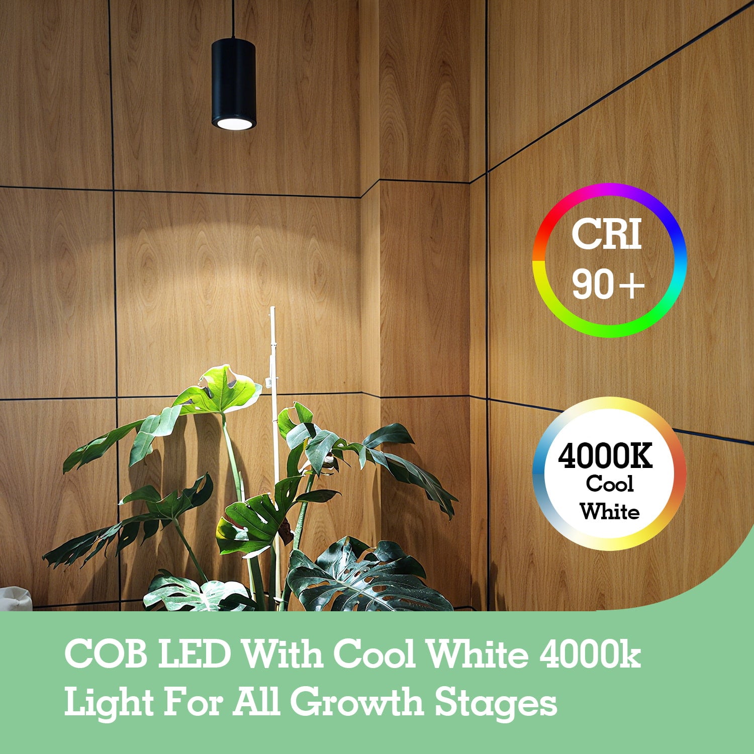 Soliseed 24W Hanging Grow Light for Indoor Plants – Full Spectrum 4000
