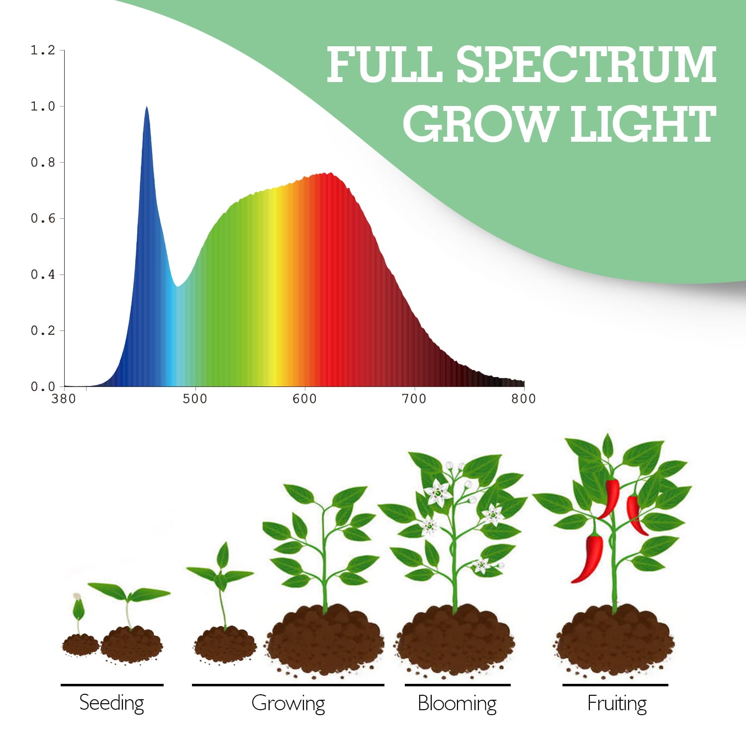 Soliseed LED Clip-on Grow Light Full Spectrum 6W 10-Level Dimming & Timer & USB, Small Grow Lights for Indoor Succulents Cactus Plants, Sunlight lamp, Round Panel 2Pack