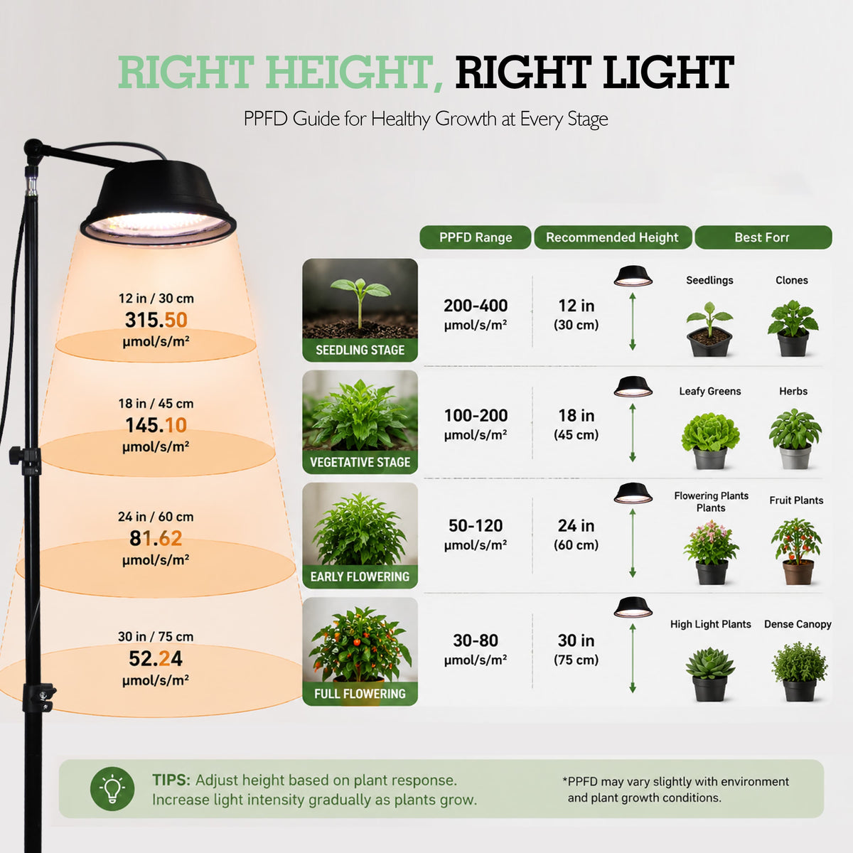 Soliseed 40W Full-Spectrum Tripod Grow Light - product detail 4