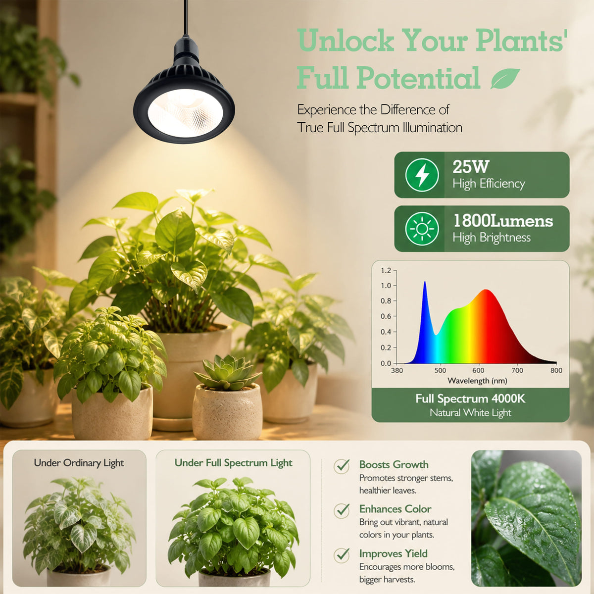 Soliseed PAR38 Full-Spectrum Pendant Grow Light - product detail 7