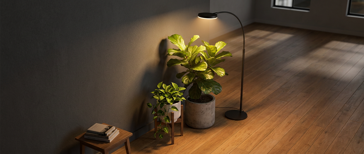 Grow lights for dark corners.